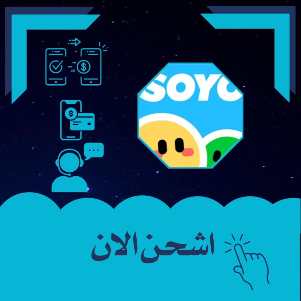  SOYO
